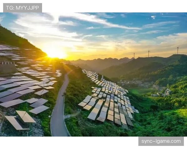 科雷亚市场竞争优势持续增强，展现强劲发展势头